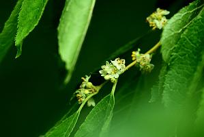 2025-06279225 Broad Meadow Brook, MA